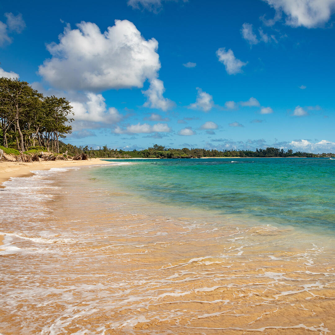 Malaekahana Beach Park Turtle Bay Condos