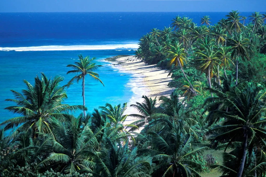 Palm_Lagoon_